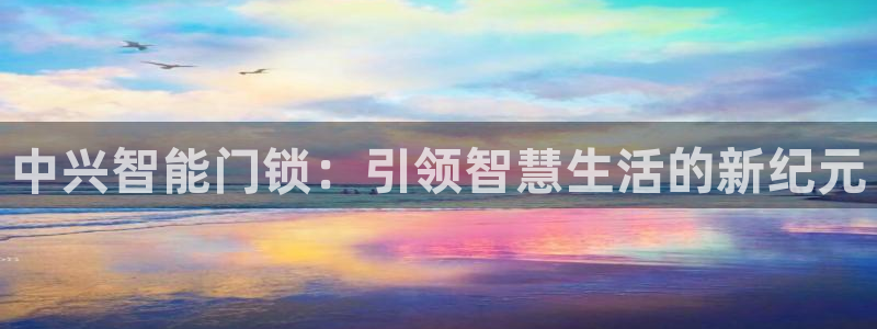 金年会最新下载：中兴智能门锁：引领智慧生活的新纪元