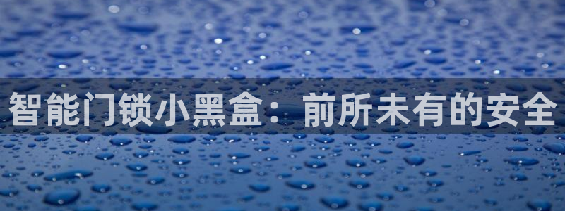 金年会6088070：智能门锁小黑盒：前所未有的安全