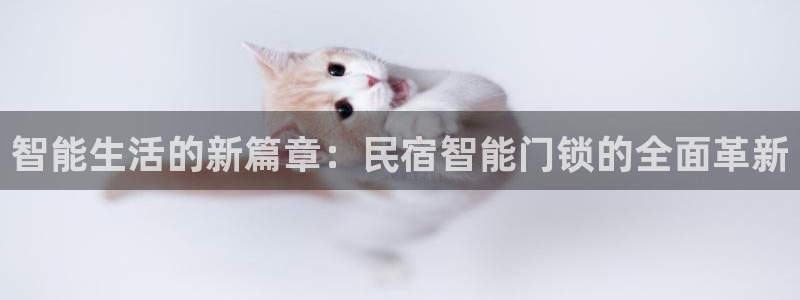 金年会现金网：智能生活的新篇章：民宿智能门锁的全面革新