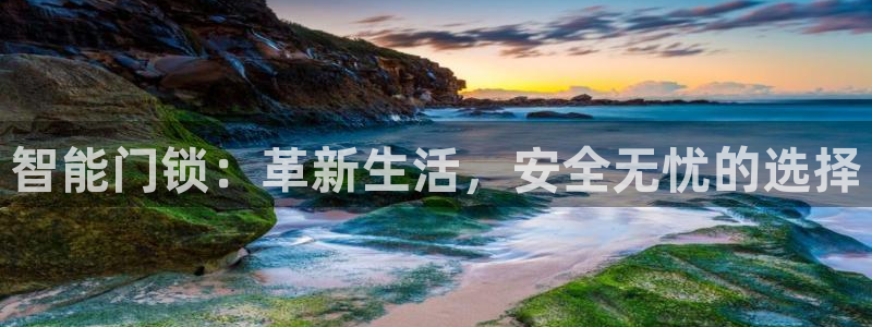 金年会体育平台入口：智能门锁：革新生活，安全无忧的选择