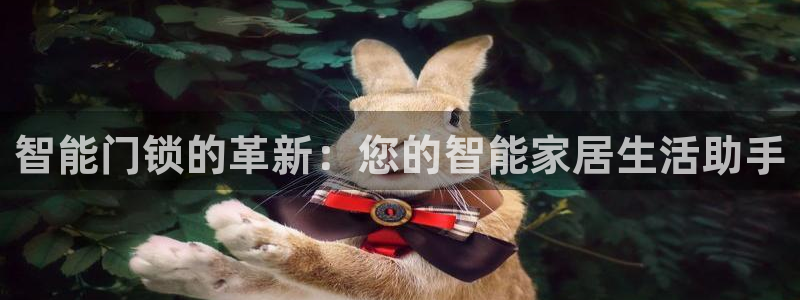 金年会是正规的吗