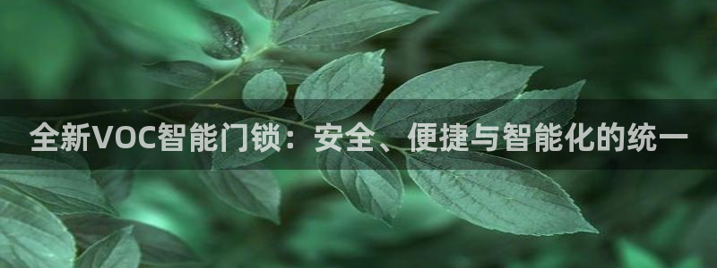 金年会 1080P：全新VOC智能门锁：安全、便捷与智能化的