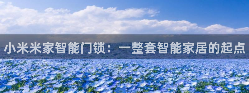 金年会不给提现：小米米家智能门锁：一整套智能家居的起点