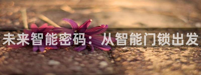 金年会娱乐：未来智能密码：从智能门锁出发