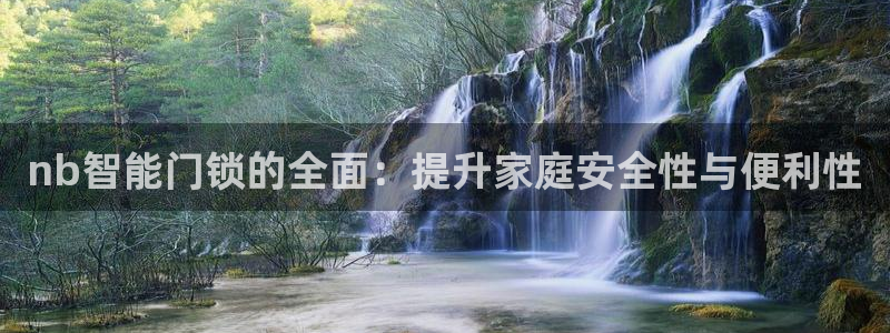 金年会体育官方网站：nb智能门锁的全面：提升家庭安全性与便利