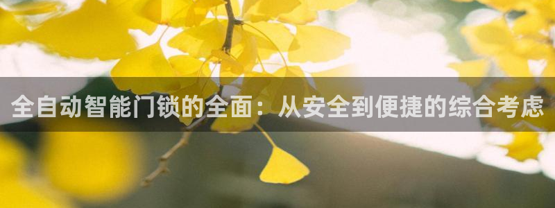 金年会APP黑钱：全自动智能门锁的全面：从安全到便捷的综合考