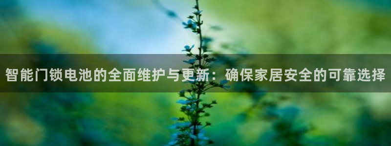 金年会体育官方网站：智能门锁电池的全面维护与更新：确保家居安
