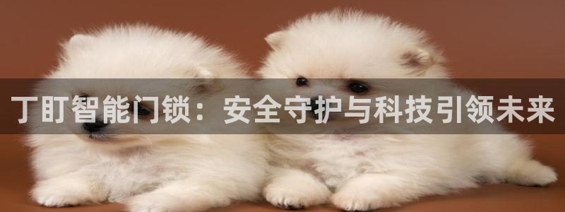 金靖年会：丁盯智能门锁：安全守护与科技引领未来