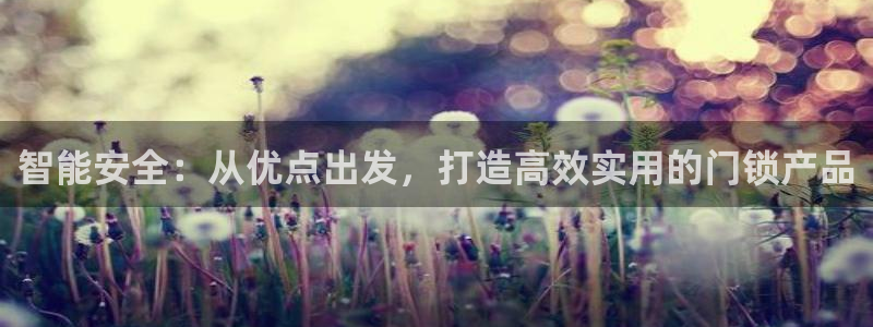 金年会官方网站入口：智能安全：从优点出发，打造高效实用的门锁