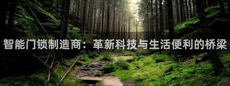 jinnianhui 金年会：智能门锁制造商：革新科技与生活