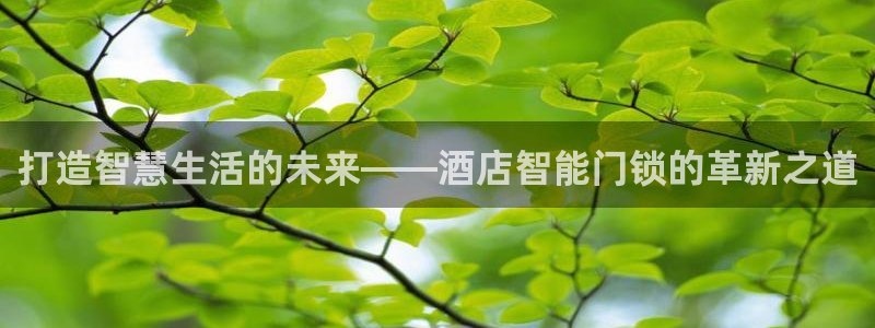 金年会官网入口：打造智慧生活的未来——酒店智能门锁的革新之道