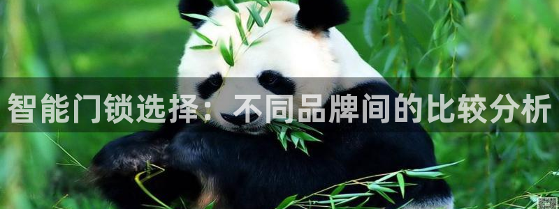 金 金年会：智能门锁选择：不同品牌间的比较分析