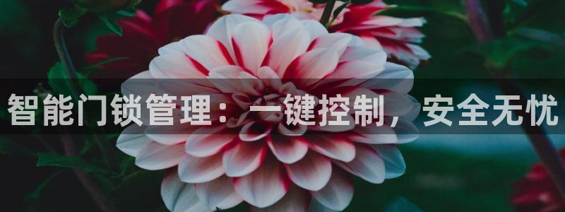 金年会在线：智能门锁管理：一键控制，安全无忧