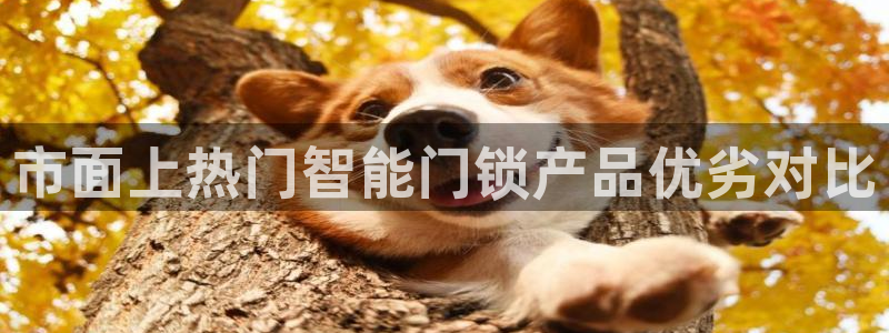 jinnian金年会：市面上热门智能门锁产品优劣对比