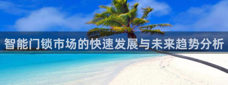 金年会品牌：智能门锁市场的快速发展与未来趋势分析