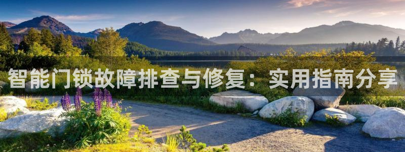 金年会6766001：智能门锁故障排查与修复：实用指南分享