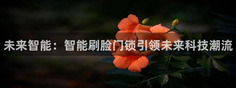 金汉江年会：未来智能：智能刷脸门锁引领未来科技潮流
