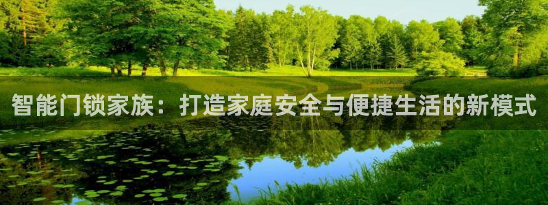 金立年会：智能门锁家族：打造家庭安全与便捷生活的新模式