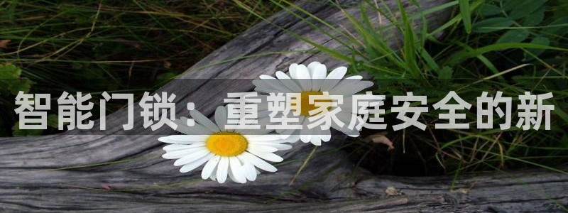 金年会和万博：智能门锁：重塑家庭安全的新
