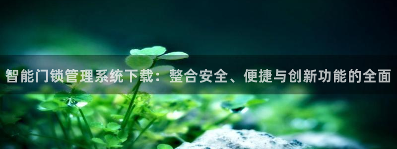 金年会6766：智能门锁管理系统下载：整合安全、便捷与创新功