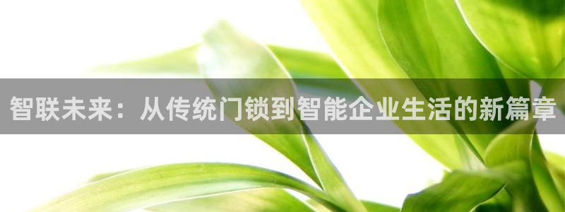 金立年会：智联未来：从传统门锁到智能企业生活的新篇章