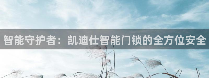 金实年会：智能守护者：凯迪仕智能门锁的全方位安全