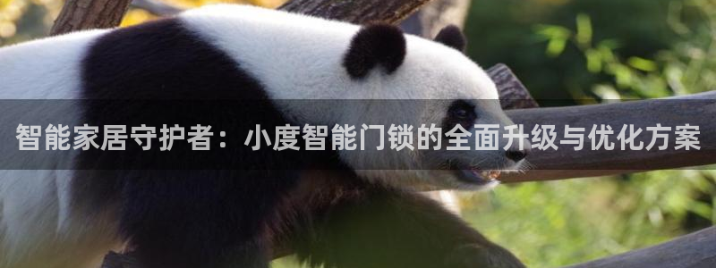 金汉江年会：智能家居守护者：小度智能门锁的全面升级与优化方案