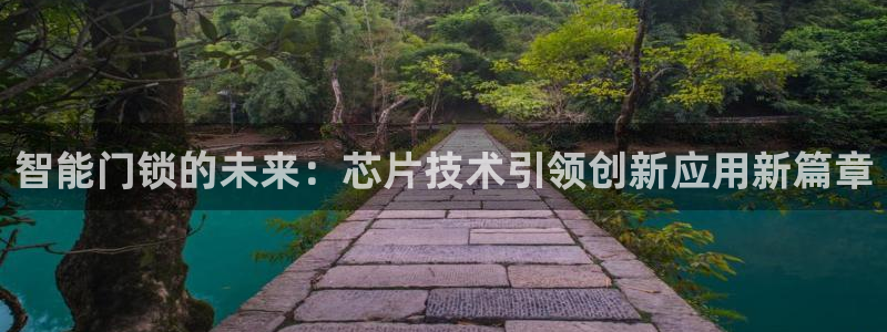 金年会今年会：智能门锁的未来：芯片技术引领创新应用新篇章