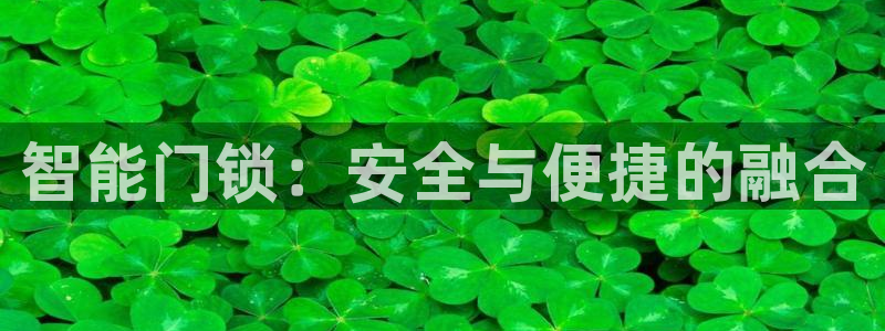 金年会体育app官网：智能门锁：安全与便捷的融合