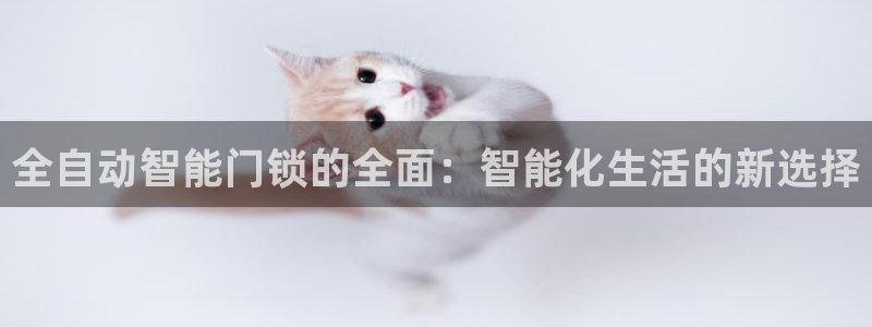金年会app桌面：全自动智能门锁的全面：智能化生活的新选择