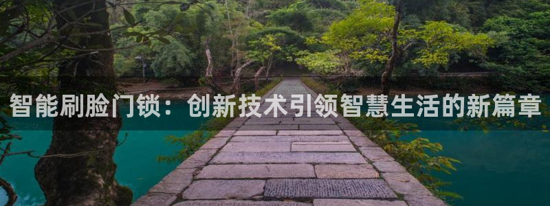 宝金年会：智能刷脸门锁：创新技术引领智慧生活的新篇章