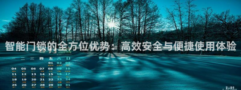 为什么搜索不了金年会：智能门锁的全方位优势：高效安全与便捷使