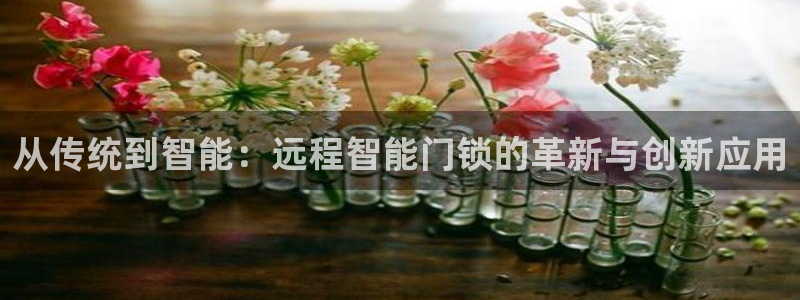 金年会最新登录网站：从传统到智能：远程智能门锁的革新与创新应