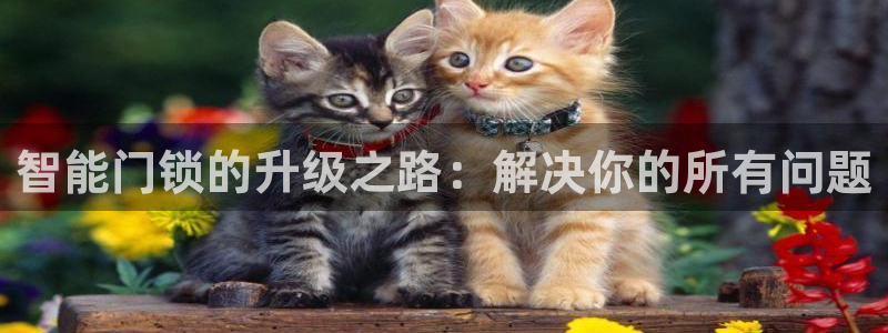 金年会登陆：智能门锁的升级之路：解决你的所有问题