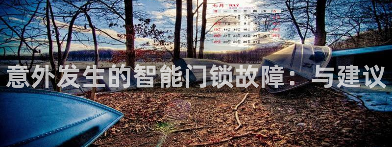 金年会体育平台在线登录：意外发生的智能门锁故障：与建议