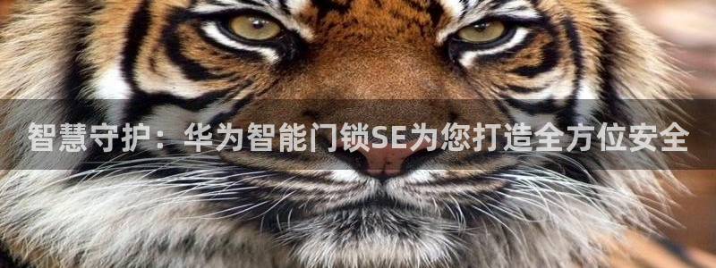 金年会体育官方：智慧守护：华为智能门锁SE为您打造全方位安全