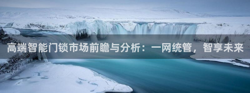 金金年会：高端智能门锁市场前瞻与分析：一网统管，智享未来