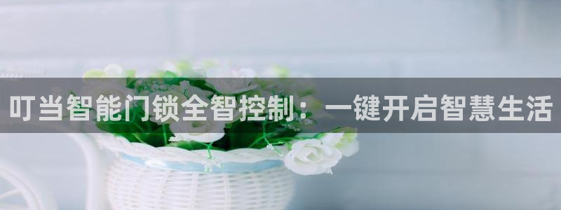 金年会最新下载：叮当智能门锁全智控制：一键开启智慧生活