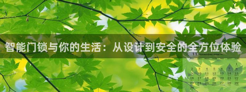 金年会手机版：智能门锁与你的生活：从设计到安全的全方位体验