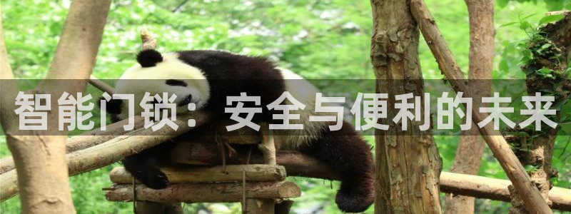 金年会101：智能门锁：安全与便利的未来