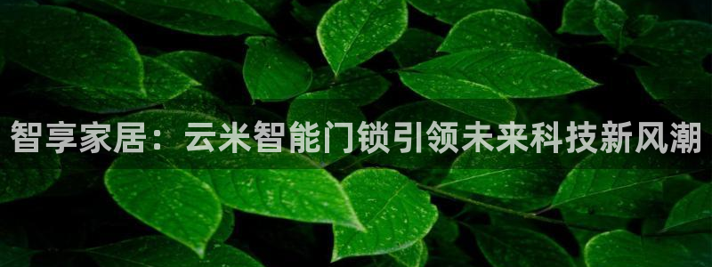 金年会娱乐app：智享家居：云米智能门锁引领未来科技新风潮