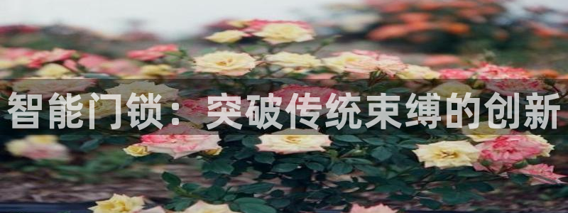 金年会平台游戏：智能门锁：突破传统束缚的创新