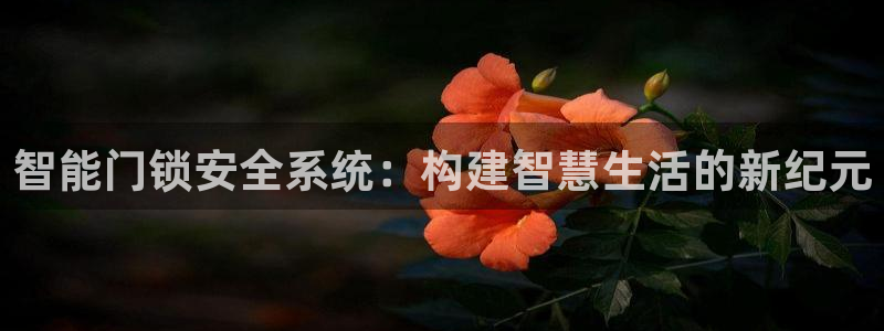 金年会手机官网：智能门锁安全系统：构建智慧生活的新纪元