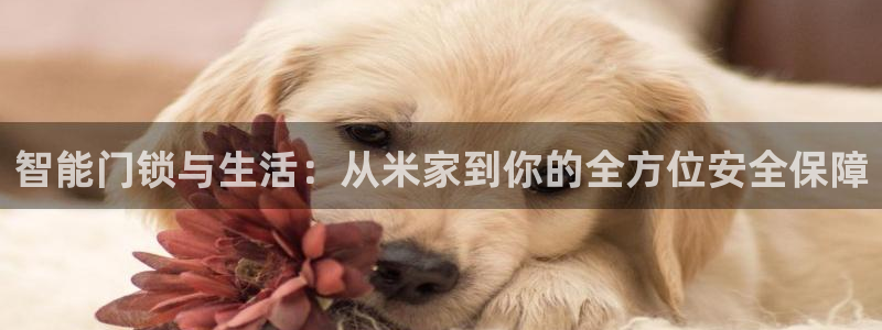 亚博金年会：智能门锁与生活：从米家到你的全方位安全保障