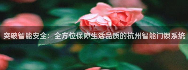 金年会棋牌：突破智能安全：全方位保障生活品质的杭州智能门锁系