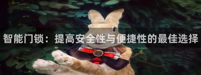 金年会体育下载app：智能门锁：提高安全性与便捷性的最佳选择