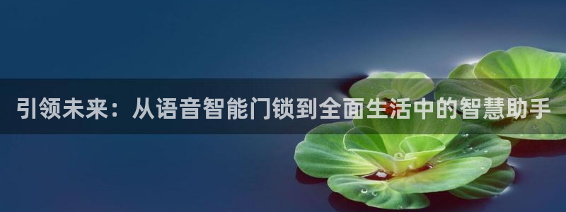 金年会平台是不是大台子：引领未来：从语音智能门锁到全面生活中