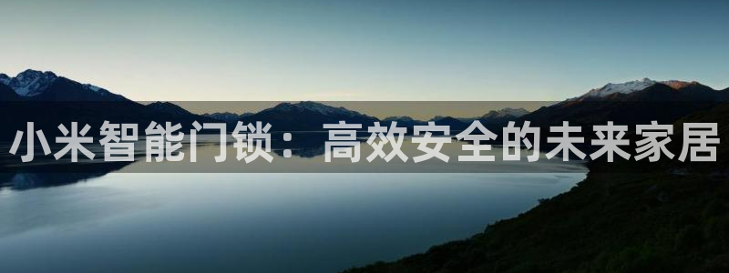 金进年会：小米智能门锁：高效安全的未来家居