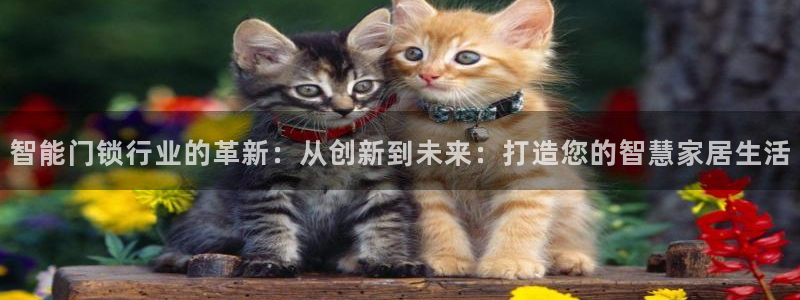 金年会全站：智能门锁行业的革新：从创新到未来：打造您的智慧家