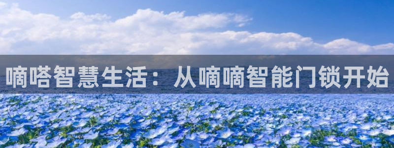 金年会下载官方：嘀嗒智慧生活：从嘀嘀智能门锁开始